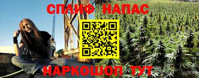 метадон Ефремов