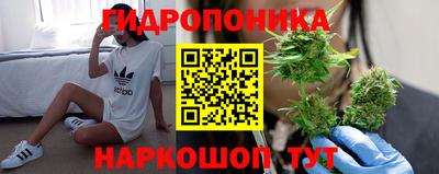 метадон Ефремов
