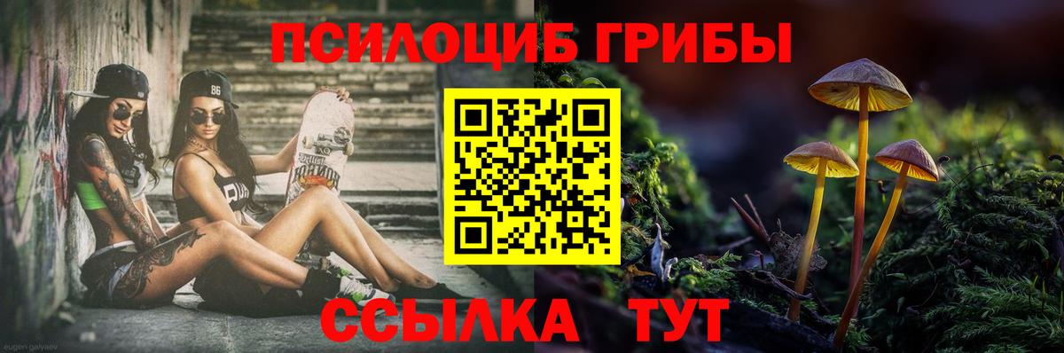 Галлюциногенные грибы Psilocybine cubensis Брянск